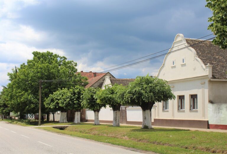 novi1