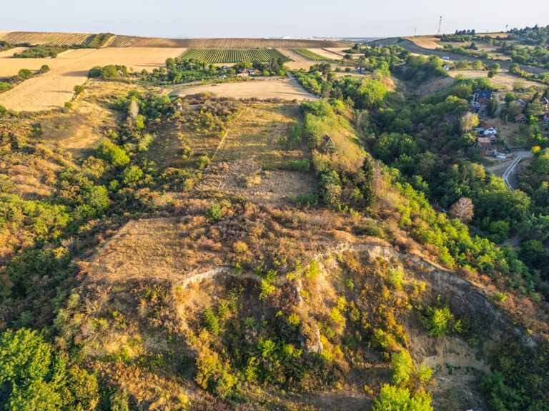 DJI_0772