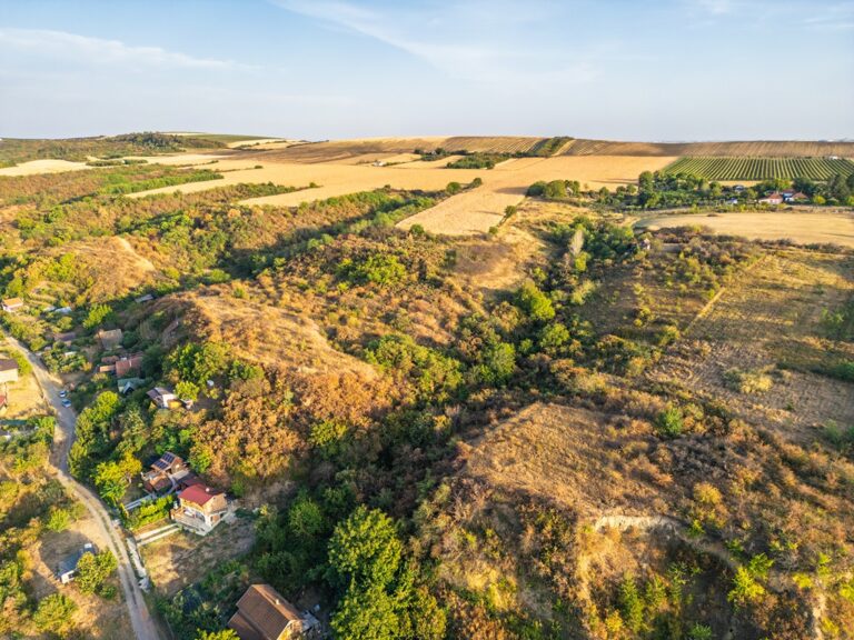 DJI_0773